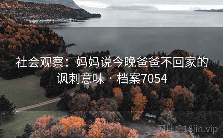 社会观察：妈妈说今晚爸爸不回家的讽刺意味 · 档案7054  第2张