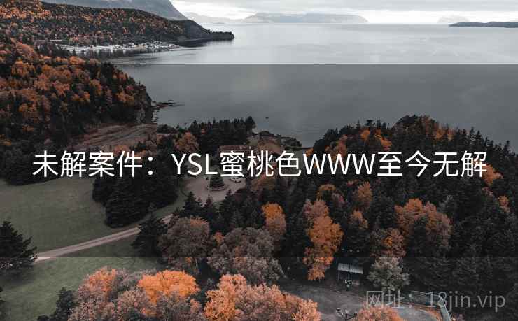 未解案件:YSL蜜桃色WWW至今无解 第2张 未解案件:YSL蜜桃色WWW至今无解 第2张